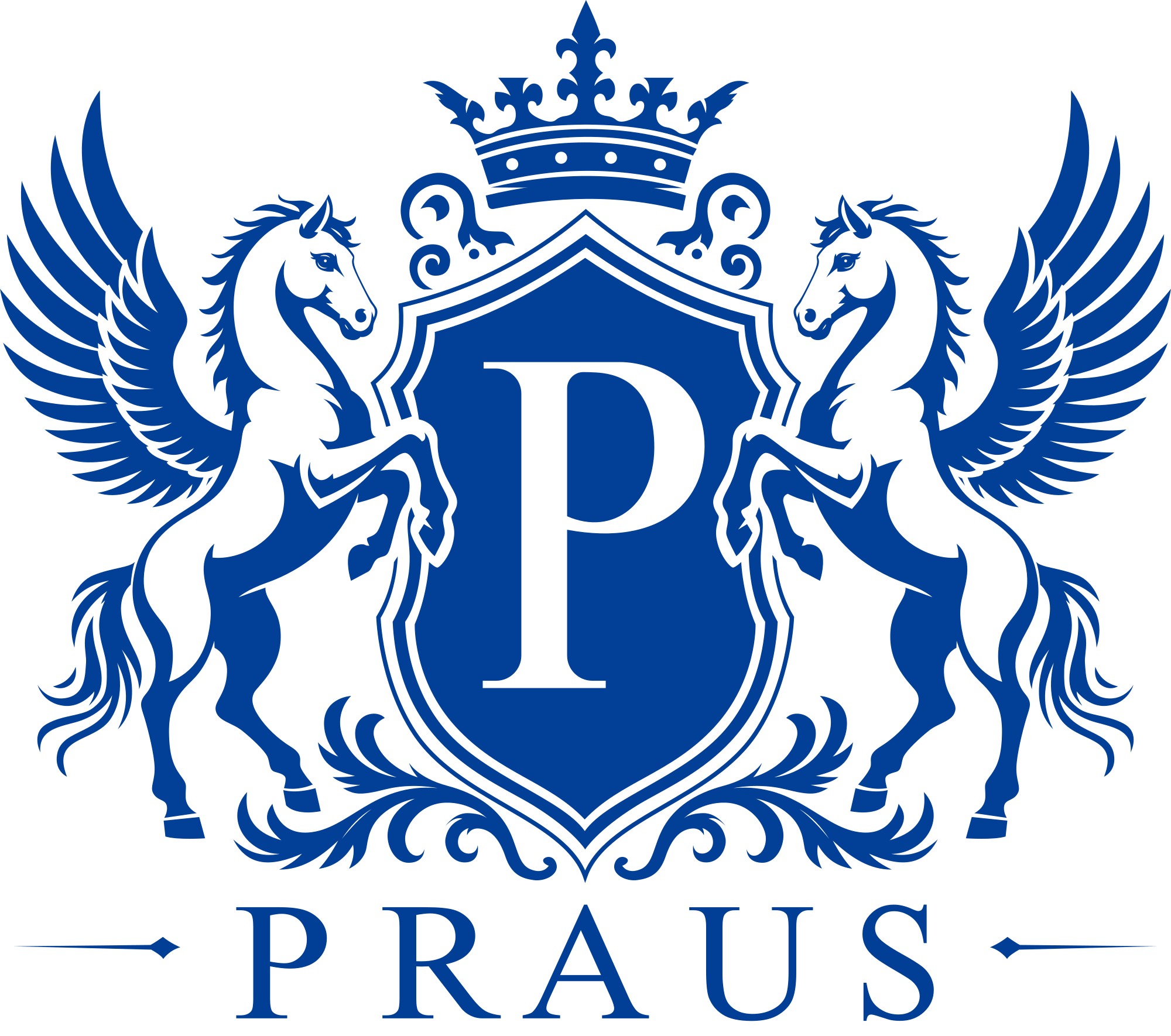 Praus Recovery